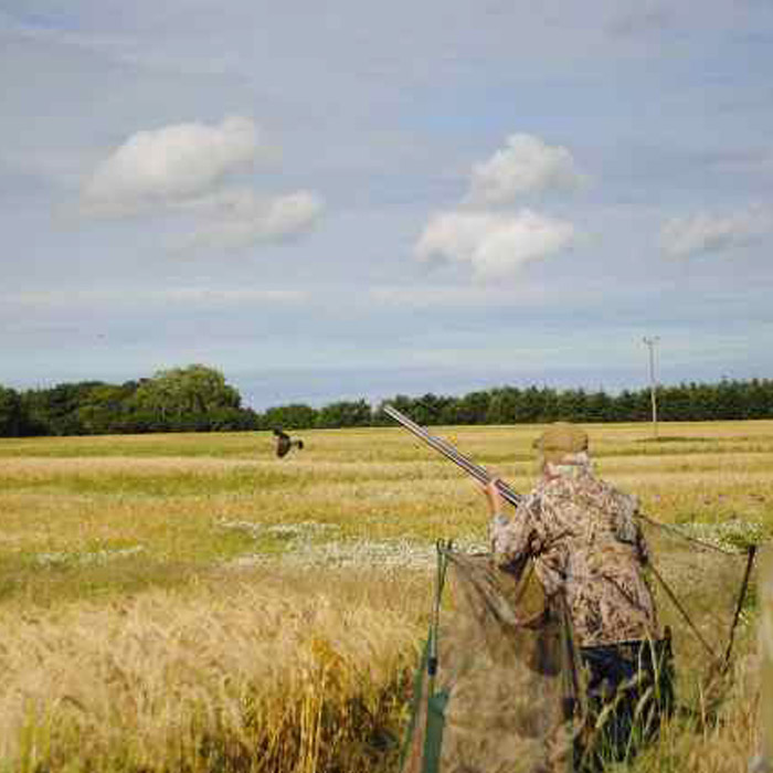 Spring Pigeon Shooting Packages